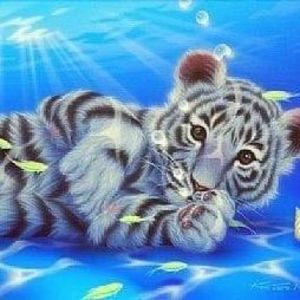 Meet your Posher, Tylin